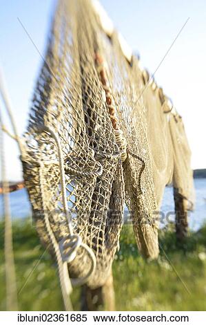 "Fishing nets at the historic port of Maasholm, Schleswig-Holstein, Germany, Europe" View Large Photo Image Stock Photography - "Fishing nets at the historic port of Maasholm, Schleswig-Holstein, Germany, Europe". Fotosearch