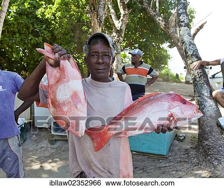 "Fishmonger, fish market at the Anse Royale, Mahe, Seychelles, Africa, Indian Ocean, Africa" View Large Photo Image Stock Photograph - "Fishmonger, fish market at the Anse Royale, Mahe, Seychelles, Africa, Indian Ocean, Africa". Fotosearch