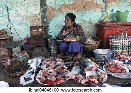 "Fishmonger, fish market, Bagan, Myanmar, Asia" View Large Photo Image Stock Image - "Fishmonger, fish market, Bagan, Myanmar, Asia". Fotosearch