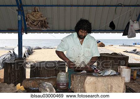 "Fishmonger, fish market, beach, Indian Ocean, Negombo, Sri Lanka, Asia" View Large Photo Image Stock Photo - "Fishmonger, fish market, beach, Indian Ocean, Negombo, Sri Lanka, Asia". Fotosearch