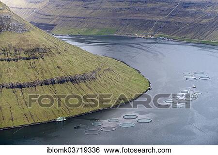 "Fjord, fish farm, Klaksvik, Borooy, Norooyar, Faroe Islands, Denmark, Europe" View Large Photo Image Stock Photograph - "Fjord, fish farm, Klaksvik, Borooy, Norooyar, Faroe Islands, Denmark, Europe". Fotosearch