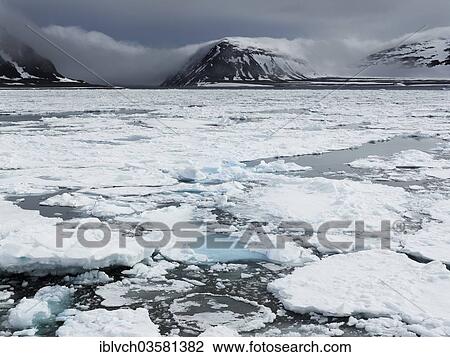 "Fjord with pack ice, Phippsoya, Sjuoyane, Svalbard Archipelago, Svalbard and Jan Mayen, Norway, Europe" View Large Photo Image Stock Image - "Fjord with pack ice, Phippsoya, Sjuoyane, Svalbard Archipelago, Svalbard and Jan Mayen, Norway, Europe". Fotosearch