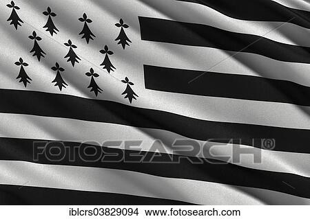Picture - Flag of Brittany. Fotosearch