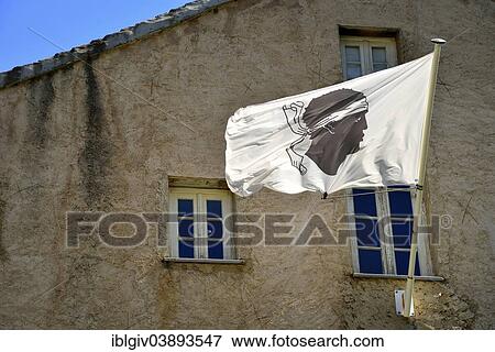 "Flag of Corsica, white flag with a moor's head, in front of a house, Corte, Corsica, France, Europe" View Large Photo Image Stock Photo - "Flag of Corsica, white flag with a moor's head, in front of a house, Corte, Corsica, France, Europe". Fotosearch