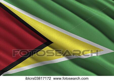 Flag of Guyana View Large Photo Image Stock Image - Flag of Guyana. Fotosearch