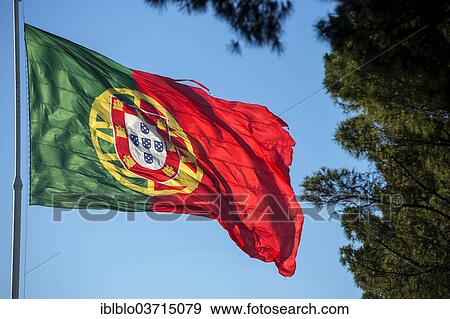 Stock Photo - Flag of Portugal. Fotosearch