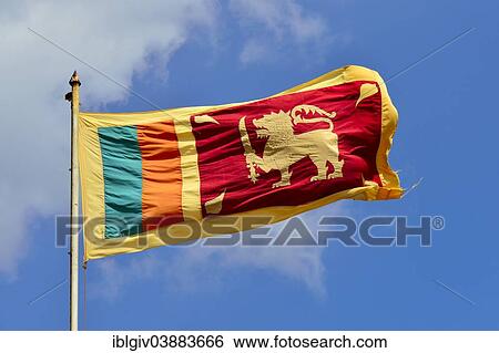 Flag of Sri Lanka flying View Large Photo Image Stock Photograph - Flag of Sri Lanka flying. Fotosearch
