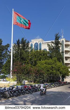 "Flag of the Maldives, Male, North Male Atoll, Maldives, Asia" View Large Photo Image Picture - "Flag of the Maldives, Male, North Male Atoll, Maldives, Asia". Fotosearch