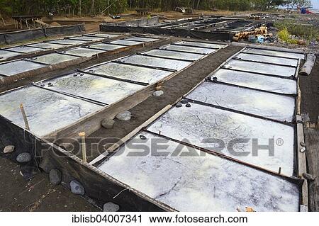 "Flat foil pans for extracting sea salt, known as Fleur de Sel, North Bali, Bali, Indonesia, Asia" View Large Photo Image Stock Image - "Flat foil pans for extracting sea salt, known as Fleur de Sel, North Bali, Bali, Indonesia, Asia". Fotosearch