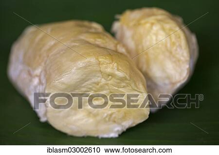 Flesh of the durian fruit View Large Photo Image Stock Image - Flesh of the durian fruit. Fotosearch