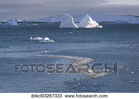 "Floating icebergs in Penola Strait, Antarctic Peninsula, Antarctica" View Large Photo Image Stock Image - "Floating icebergs in Penola Strait, Antarctic Peninsula, Antarctica". Fotosearch
