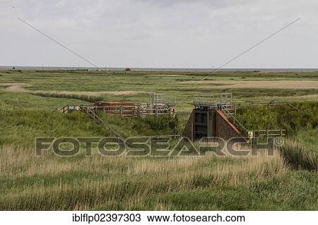 Stock Image - "Flood gates at Cley next the Sea by River Glaven, Cley Marshes". Fotosearch