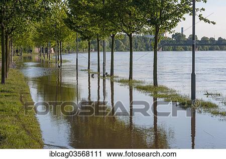 "Flood waters of the flooded Main River, Frankfurt am Main, Hesse, Germany, Europe" View Large Photo Image Stock Image - "Flood waters of the flooded Main River, Frankfurt am Main, Hesse, Germany, Europe". Fotosearch