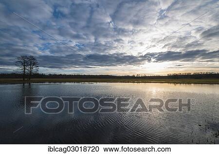 "Flooded fields with a low sun, Moenchbruch Nature Reserve, Monchbruch Nature Reserve, Morfelden, Hesse, Germany, Europe" View Large Photo Image Stock Image - "Flooded fields with a low sun, Moenchbruch Nature Reserve, Monchbruch Nature Reserve, Morfelden, Hesse, Germany, Europe". Fotosearch