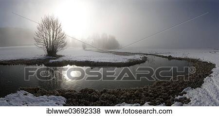 "Floodplain, morning mist, Zellerache, Mondsee, Salzkammergut, Austria, Europe" View Large Photo Image Stock Photo - "Floodplain, morning mist, Zellerache, Mondsee, Salzkammergut, Austria, Europe". Fotosearch