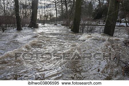 Stock Photography - "Floodwaters of the Ilm River, trees engulfed by water, Park on the Ilm River, UNESCO World Heritage Site, Weimar, Thuringia, Germany, Europe". Fotosearch