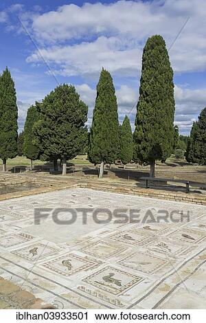 "Floor mosaic depicting birds, Roman Casa de la Pajaros, Santiponce, Andalusia, Spain, Europe" View Large Photo Image Stock Image - "Floor mosaic depicting birds, Roman Casa de la Pajaros, Santiponce, Andalusia, Spain, Europe". Fotosearch