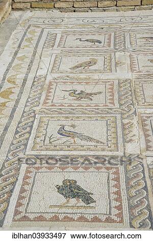 "Floor mosaic depicting birds, Roman Casa de la Pajaros, Santiponce, Andalusia, Spain, Europe" View Large Photo Image Stock Photo - "Floor mosaic depicting birds, Roman Casa de la Pajaros, Santiponce, Andalusia, Spain, Europe". Fotosearch