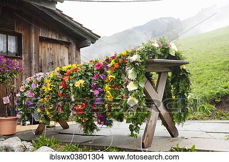 Picture - "Floral arrangements for the cows during the Almabtrieb cattle drive, alpine pasture near Kerns, Canton of Obwalden, Switzerland, Europe". Fotosearch