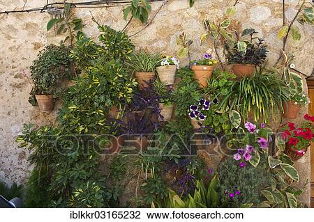 "Floral decoration on a house wall, Valldemossa, Majorca, Balearic Islands, Spain, Europe" View Large Photo Image Stock Image - "Floral decoration on a house wall, Valldemossa, Majorca, Balearic Islands, Spain, Europe". Fotosearch