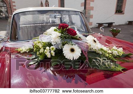 "Floral decoration on a wedding car, Saxony, Germany, Europe" View Large Photo Image Stock Image - "Floral decoration on a wedding car, Saxony, Germany, Europe". Fotosearch