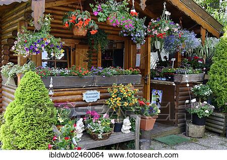 "Flower barn, florist, Bayrischzell in the Leitzachtal valley, Upper Bavaria, Bavaria, Germany, Europe" View Large Photo Image Picture - "Flower barn, florist, Bayrischzell in the Leitzachtal valley, Upper Bavaria, Bavaria, Germany, Europe". Fotosearch