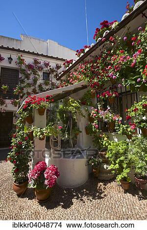 Picture - "Flower-bedecked inner courtyard during the Fiesta de los Patios, Cordoba, Andalucia, Spain, Europe". Fotosearch