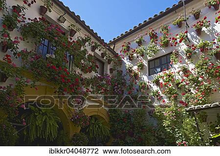 Stock Image - "Flower-bedecked inner courtyard during the Fiesta de los Patios, Cordoba, Andalucia, Spain, Europe". Fotosearch