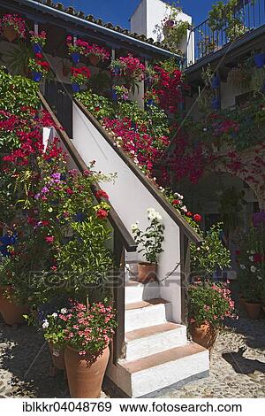 Stock Photo - "Flower-bedecked inner courtyard during the Fiesta de los Patios, Cordoba, Andalucia, Spain, Europe". Fotosearch