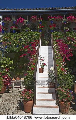 Stock Photograph - "Flower-bedecked inner courtyard during the Fiesta de los Patios, Cordoba, Andalucia, Spain, Europe". Fotosearch