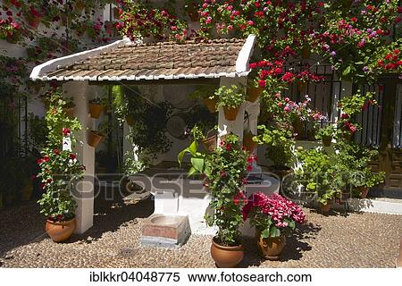 Stock Photography - "Flower-bedecked inner courtyard during the Fiesta de los Patios, Cordoba, Andalucia, Spain, Europe". Fotosearch