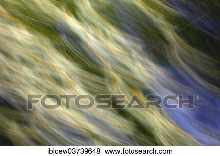 "Flower meadow, Schleswig-Holstein, Germany, Europe" View Large Photo Image Stock Photo - "Flower meadow, Schleswig-Holstein, Germany, Europe". Fotosearch