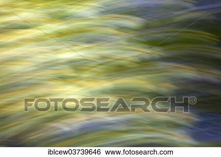 Stock Photograph - "Flower meadow, Schleswig-Holstein, Germany, Europe". Fotosearch