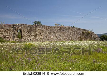 "Flowering meadow in from of the walls of Oberburg Castle, Kobern-Gondorf, Moselle region, Rhineland-Palatinate, Germany, Europe, PublicGround, Europe" View Large Photo Image Stock Image - "Flowering meadow in from of the walls of Oberburg Castle, Kobern-Gondorf, Moselle region, Rhineland-Palatinate, Germany, Europe, PublicGround, Europe". Fotosearch