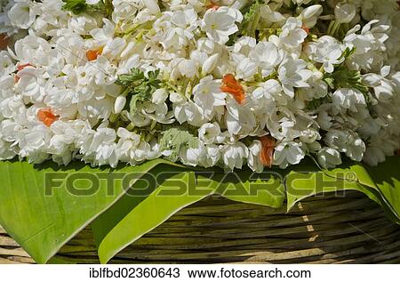 Stock Image - "Flowers for sale at the local market in Mysore, India, Asia". Fotosearch