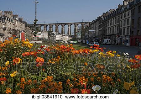 Stock Image - "Flowers in front of the Viaduc de Morlaix, viaduct, Morlaix, Brittany, France, Europe". Fotosearch