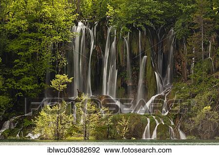 "Flowing water cascading over a densely wooded hillside into the Plicvice Lakes, Plitvice Lakes National Park, Croatia, Europe" View Large Photo Image Stock Image - "Flowing water cascading over a densely wooded hillside into the Plicvice Lakes, Plitvice Lakes National Park, Croatia, Europe". Fotosearch
