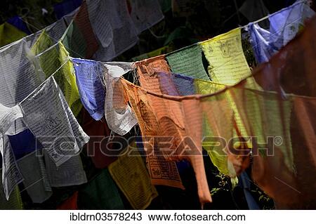 "Fluttering prayer flags, Yotongla Pass, Bumthang district, Bhutan, Asia" View Large Photo Image Stock Image - "Fluttering prayer flags, Yotongla Pass, Bumthang district, Bhutan, Asia". Fotosearch