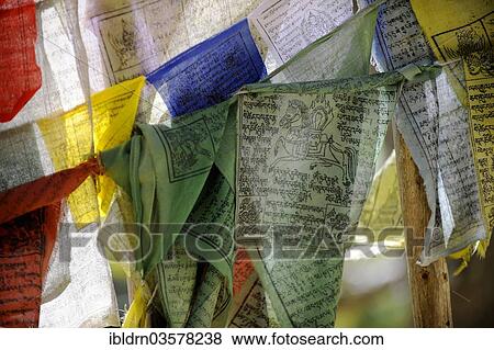"Fluttering prayer flags, Yotongla Pass, Bumthang district, Bhutan, Asia" View Large Photo Image Stock Photo - "Fluttering prayer flags, Yotongla Pass, Bumthang district, Bhutan, Asia". Fotosearch
