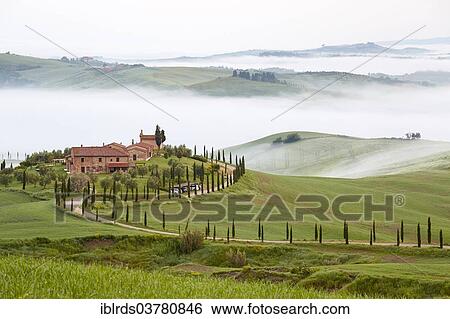 "Fog in the valleys at Podere Baccoleno, Chiusure, Arbia, Tuscany, Italy, Europe" View Large Photo Image Stock Photograph - "Fog in the valleys at Podere Baccoleno, Chiusure, Arbia, Tuscany, Italy, Europe". Fotosearch