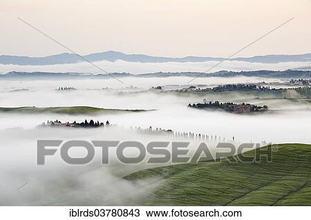 "Fog in the valleys of the Crete Senesi, Chiusure, Arbia, Tuscany, Italy, Europe" View Large Photo Image Stock Image - "Fog in the valleys of the Crete Senesi, Chiusure, Arbia, Tuscany, Italy, Europe". Fotosearch