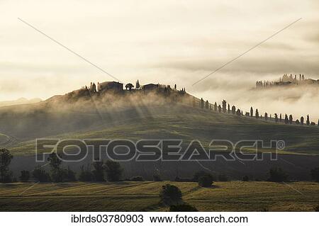 Stock Image - "Fog in the valleys of the Crete Senesi, Casetta, Taverne d'Arbia, Tuscany, Italy, Europe". Fotosearch