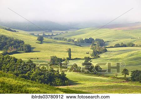 "Fog in the valleys of the Crete Senesi, Vescona, Asciano, Tuscany, Italy, Europe" View Large Photo Image Stock Image - "Fog in the valleys of the Crete Senesi, Vescona, Asciano, Tuscany, Italy, Europe". Fotosearch