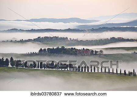 "Fog in the valleys of the Crete Senesi, Chiusure, Arbia, Tuscany, Italy, Europe" View Large Photo Image Stock Photo - "Fog in the valleys of the Crete Senesi, Chiusure, Arbia, Tuscany, Italy, Europe". Fotosearch