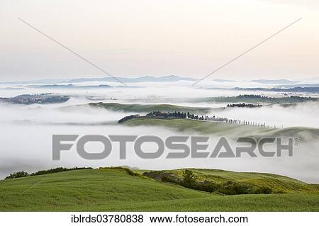 "Fog in the valleys of the Crete Senesi, Chiusure, Arbia, Tuscany, Italy, Europe" View Large Photo Image Stock Photo - "Fog in the valleys of the Crete Senesi, Chiusure, Arbia, Tuscany, Italy, Europe". Fotosearch