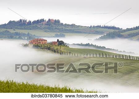 "Fog in the valleys of the Crete Senesi, Chiusure, Arbia, Tuscany, Italy, Europe" View Large Photo Image Stock Photography - "Fog in the valleys of the Crete Senesi, Chiusure, Arbia, Tuscany, Italy, Europe". Fotosearch
