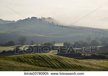 Stock Photography - "Fog in the valleys of the Crete Senesi, Casetta, Taverne d'Arbia, Tuscany, Italy, Europe". Fotosearch