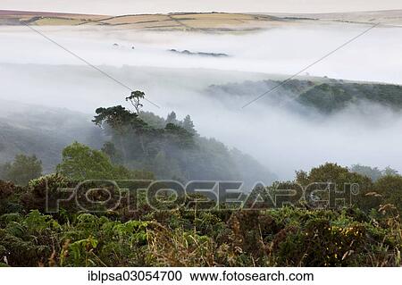 "Fog over Exmoor National Park, Exmoor Nationalpark, Somerset, England, United Kingdom, Europe" View Large Photo Image Stock Image - "Fog over Exmoor National Park, Exmoor Nationalpark, Somerset, England, United Kingdom, Europe". Fotosearch