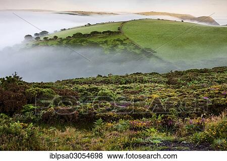 "Fog over Exmoor National Park, Exmoor Nationalpark, Somerset, England, United Kingdom, Europe" View Large Photo Image Stock Photo - "Fog over Exmoor National Park, Exmoor Nationalpark, Somerset, England, United Kingdom, Europe". Fotosearch