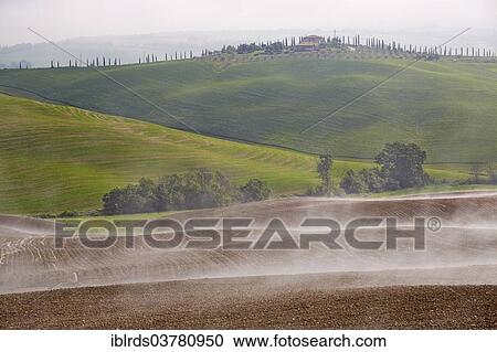 "Fog over fields of the Crete Senesi, Chiusure, Tuscany, Italy, Europe" View Large Photo Image Stock Image - "Fog over fields of the Crete Senesi, Chiusure, Tuscany, Italy, Europe". Fotosearch